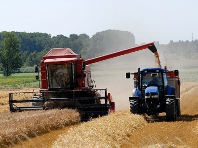 Agricultura a adus 18,5 mld. euro in economie anul trecut, cel mai bun rezultat din istorie