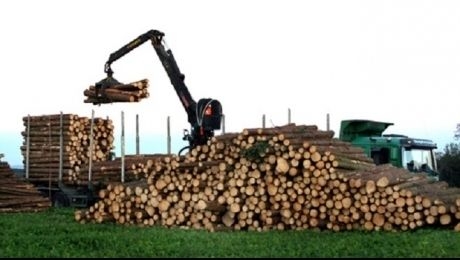 Ministerul Apelor si Padurilor va monitoriza, impreuna cu Garzile Forestiere, activitatea Holzindustrie Schweighofer