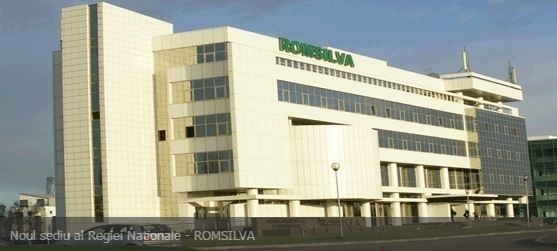 Ministrul Mediului i-a demis pe seful si patri membri ai Consiliului de Administratie al Romsilva