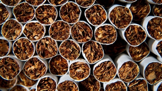 Tutunul, cultura vedeta a anului. Fermierii primesc peste 2.000 de euro pe hectar