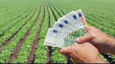 Veniturile obtinute din cultivarea a pana la doua hectare de cereale, cartofi, sfecla de zahar nu vor fi impozitate - proiect